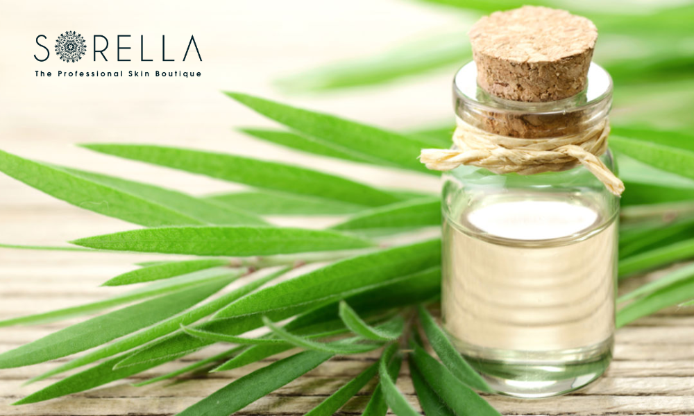 Little itching, burning, redness, and dryness are possible side effects of tea tree oil