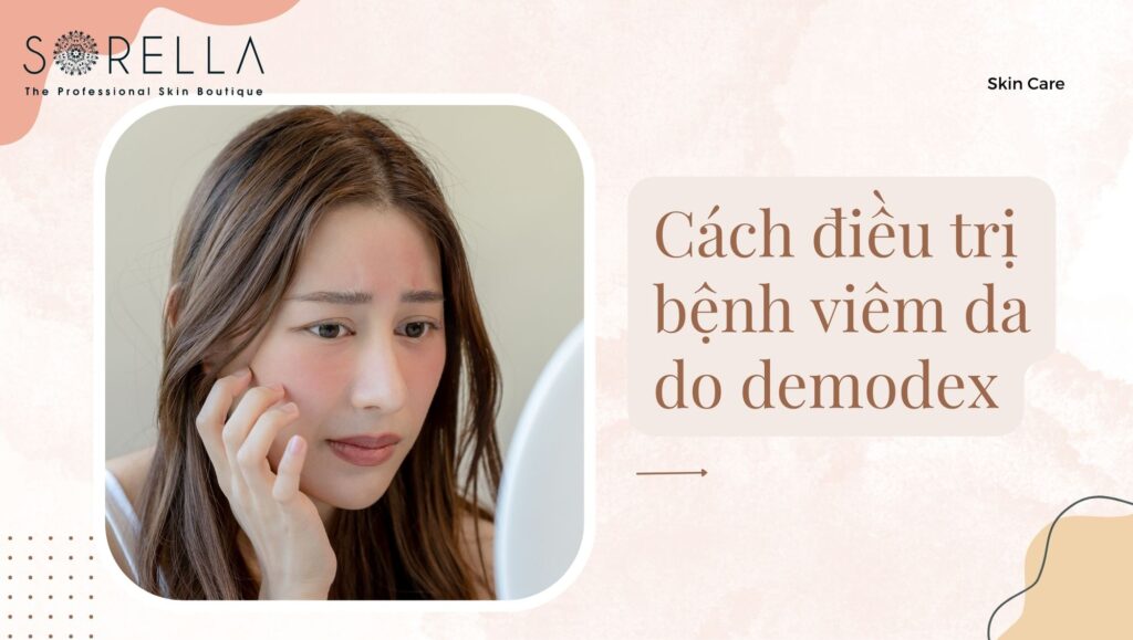 vi khuẩn demodex