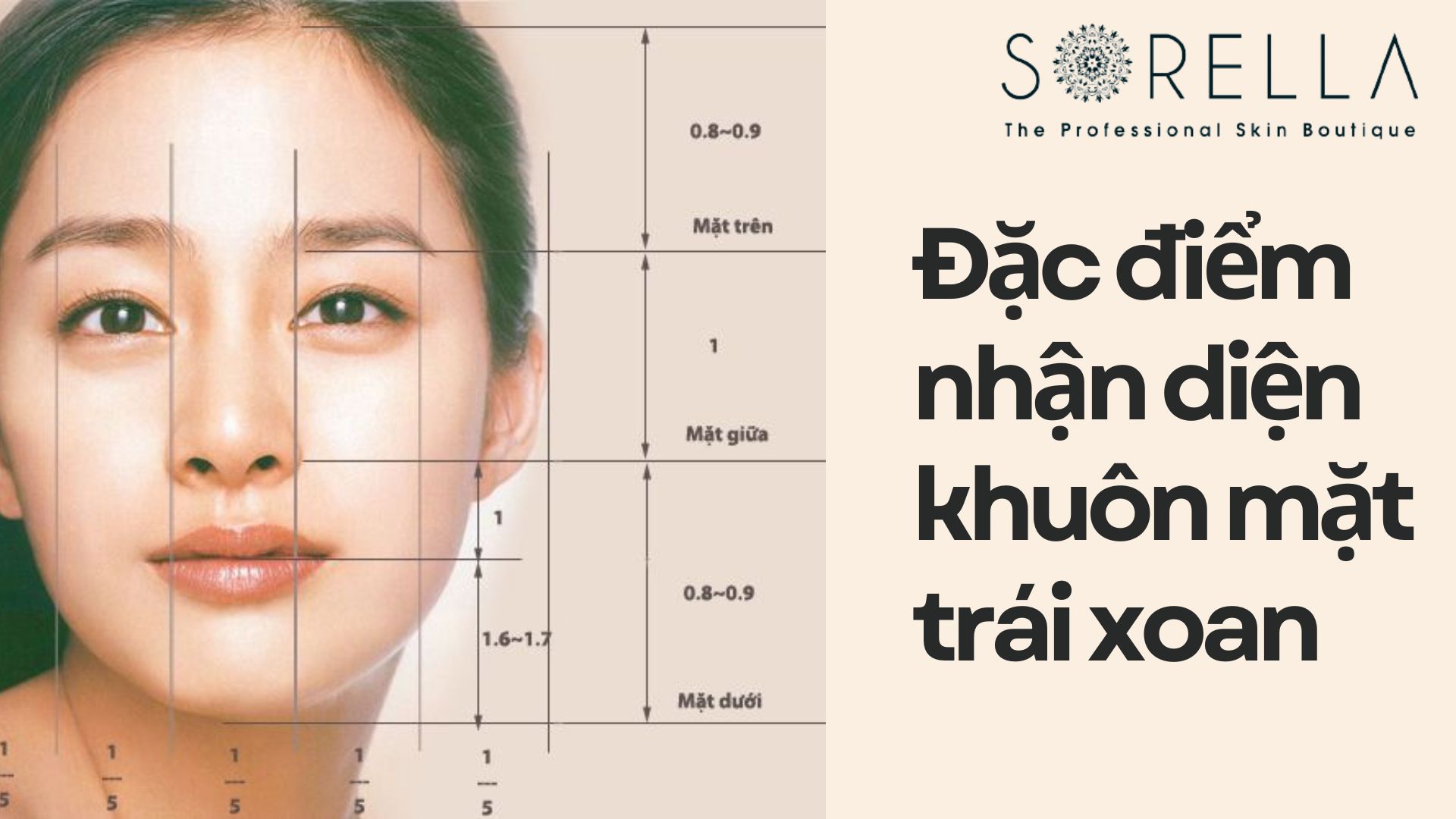 Đặc điểm nhận diện khuôn mặt trái xoan