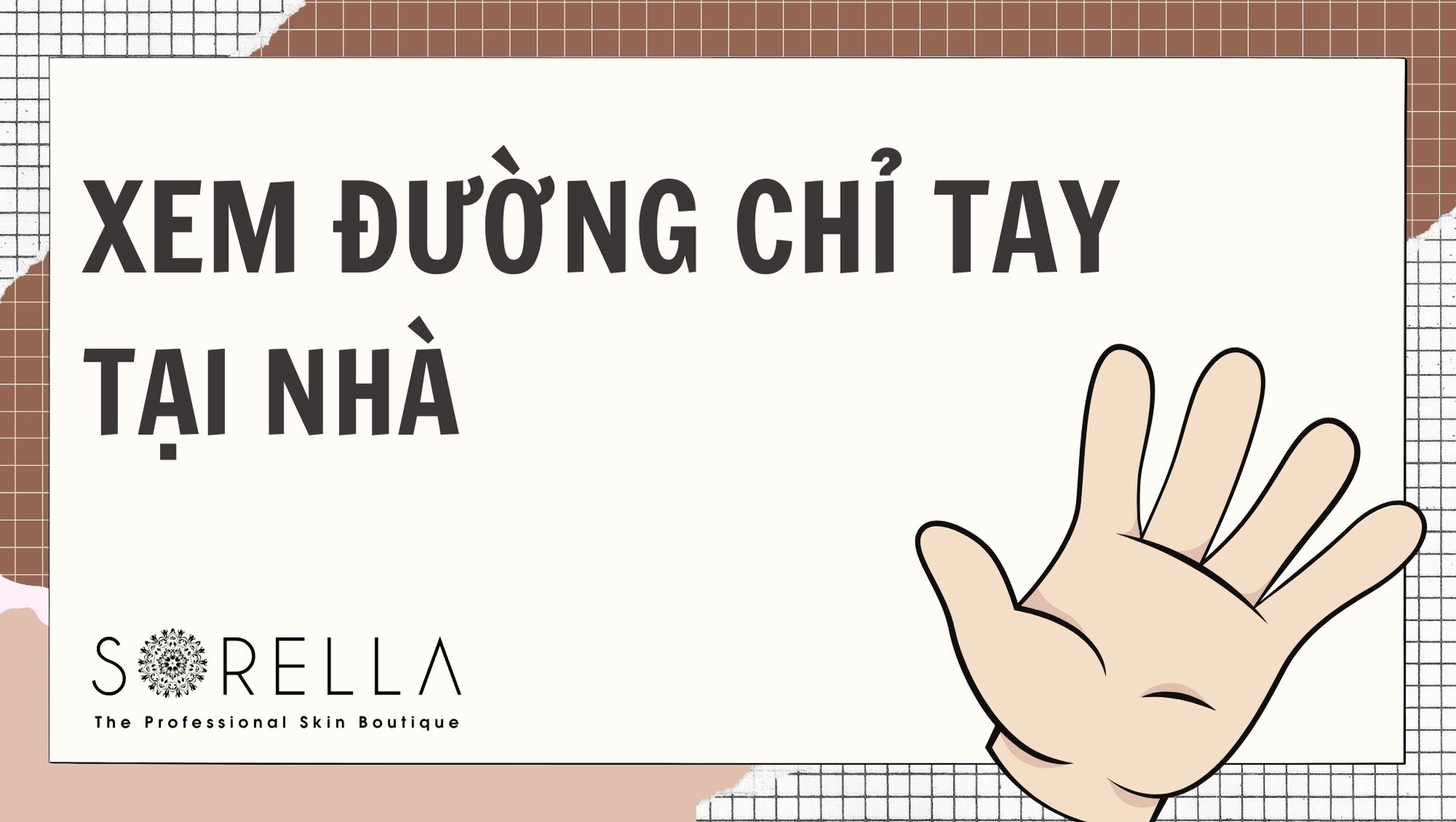 xem đường chỉ tay tại nhà