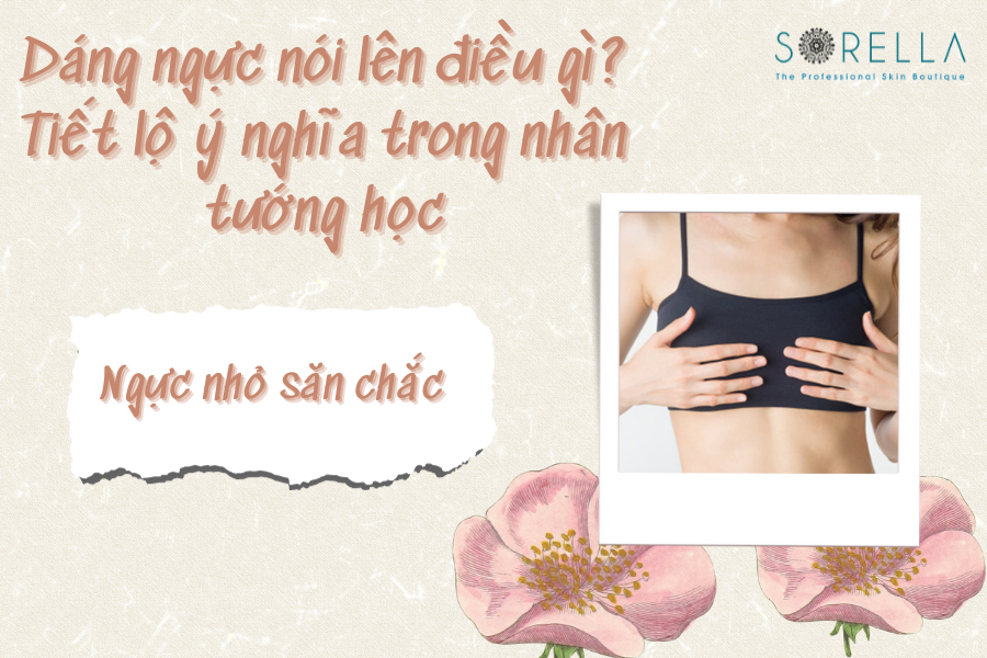 Ngực nhỏ săn chắc