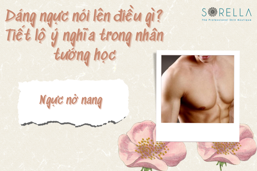 Dáng ngực nở nang, quầng vú dày chắc