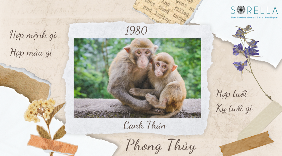 1. Tổng Quan Về Tuổi Canh Thân 1980 Nam Mạng Năm 2022 Nhâm Dần