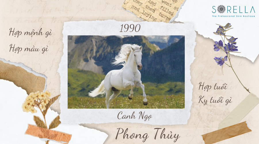 1 Tổng Quan Về Tuổi Canh Ngọ 1990