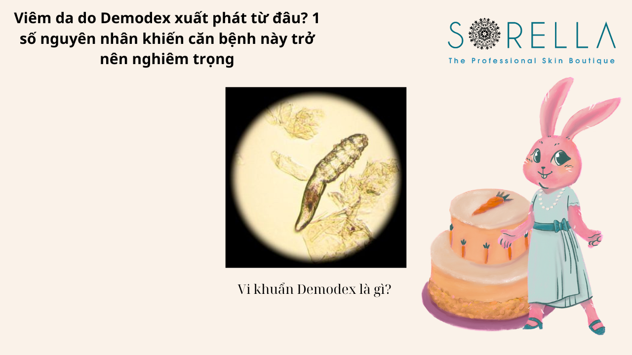 Viêm da do Demodex xuất phát từ đâu?