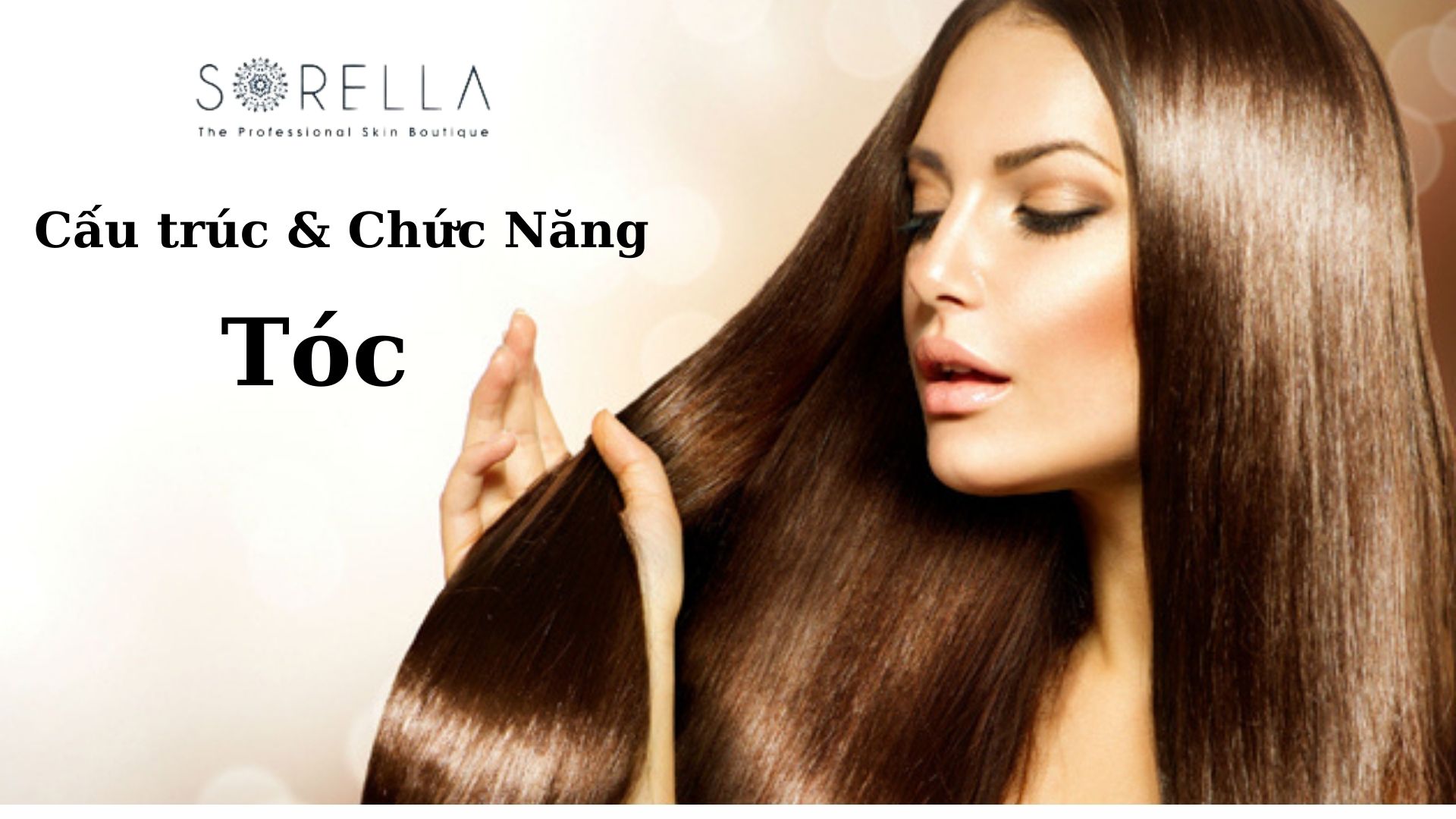 Cấu tạo và 6 chức năng của tóc