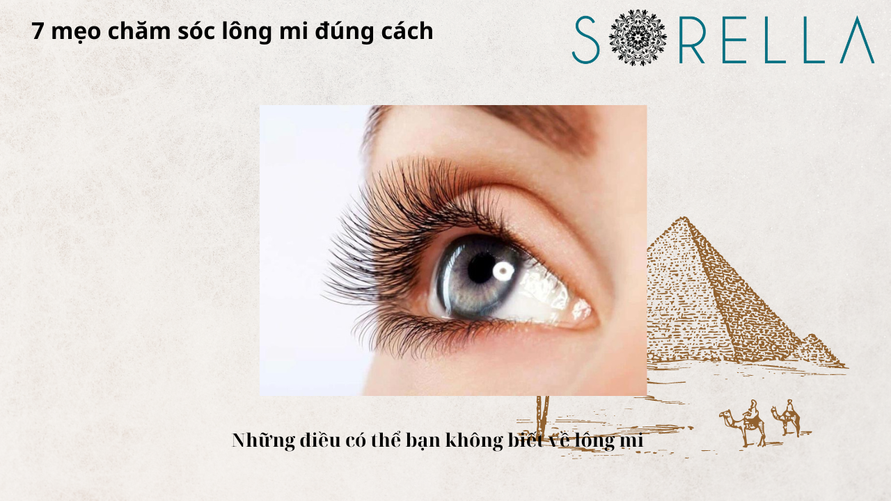 Mẹo chăm sóc lông mi đúng cách 