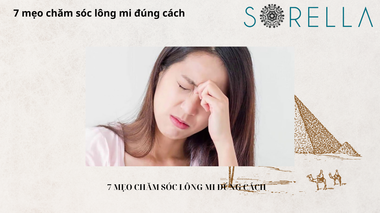 Mẹo chăm sóc lông mi đúng cách 