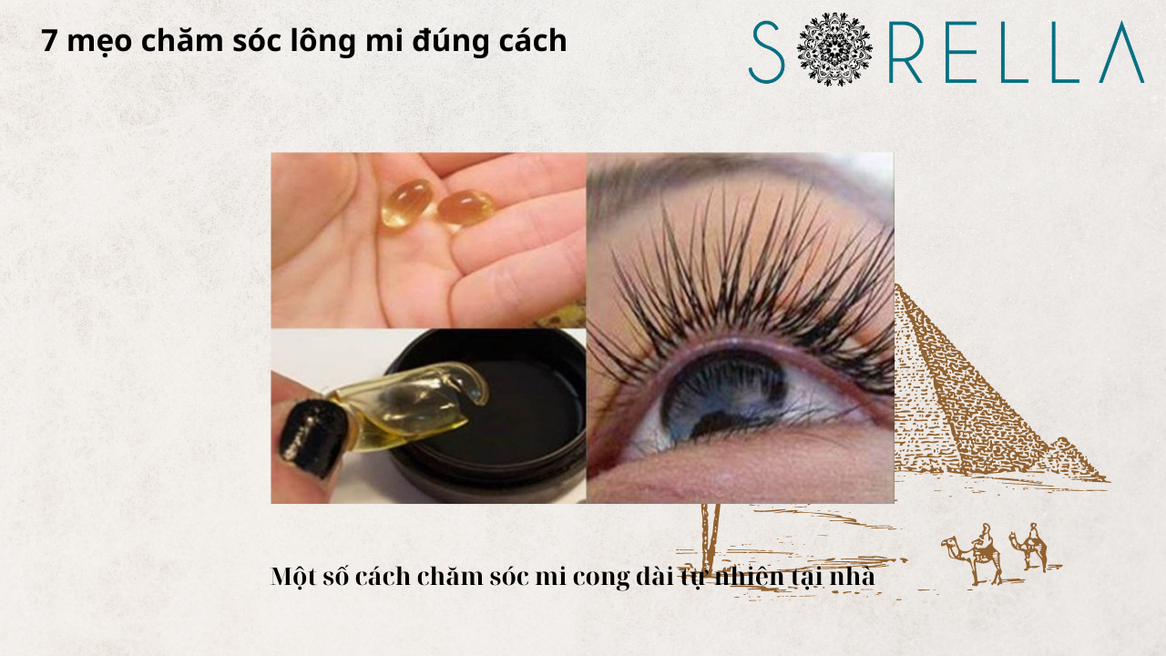 Mẹo chăm sóc lông mi đúng cách 