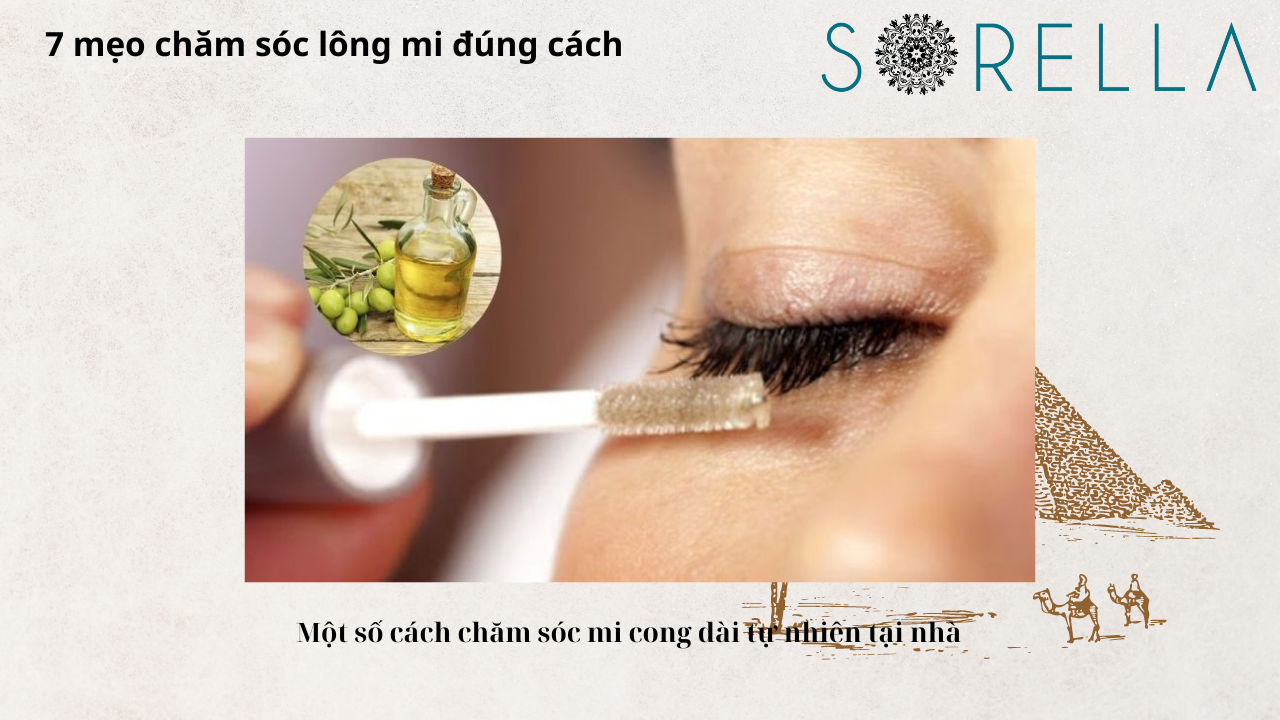 Mẹo chăm sóc lông mi đúng cách 