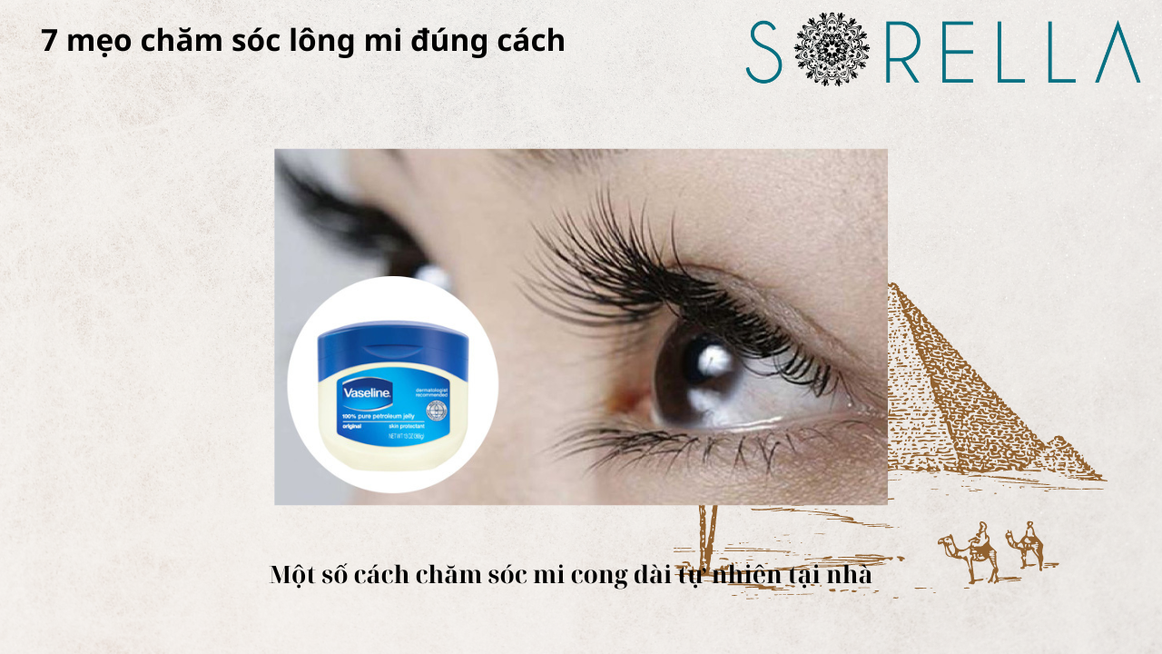 Mẹo chăm sóc lông mi đúng cách 