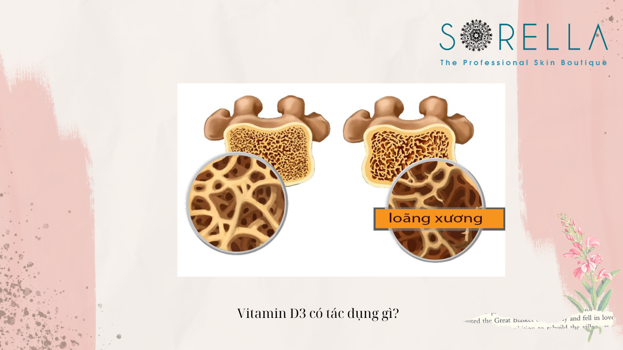 Vitamin D3 có tác dụng gì? 