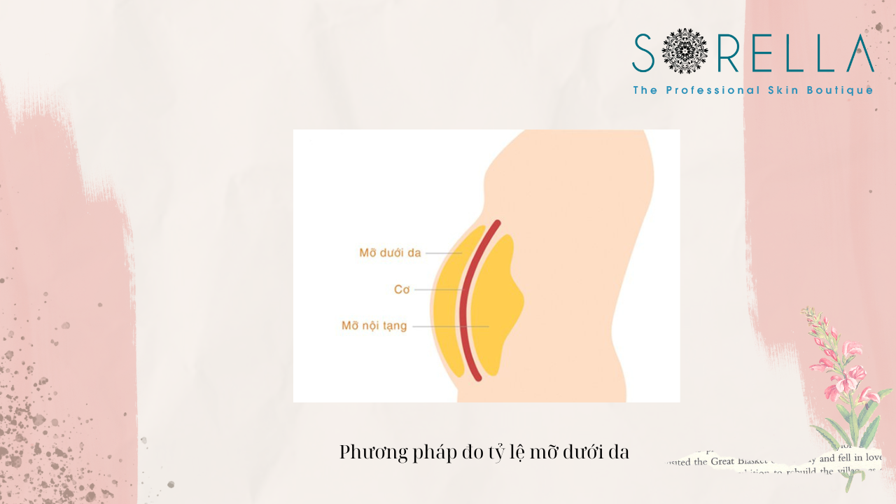 Sự thật cần phải biết về các mô mỡ? 