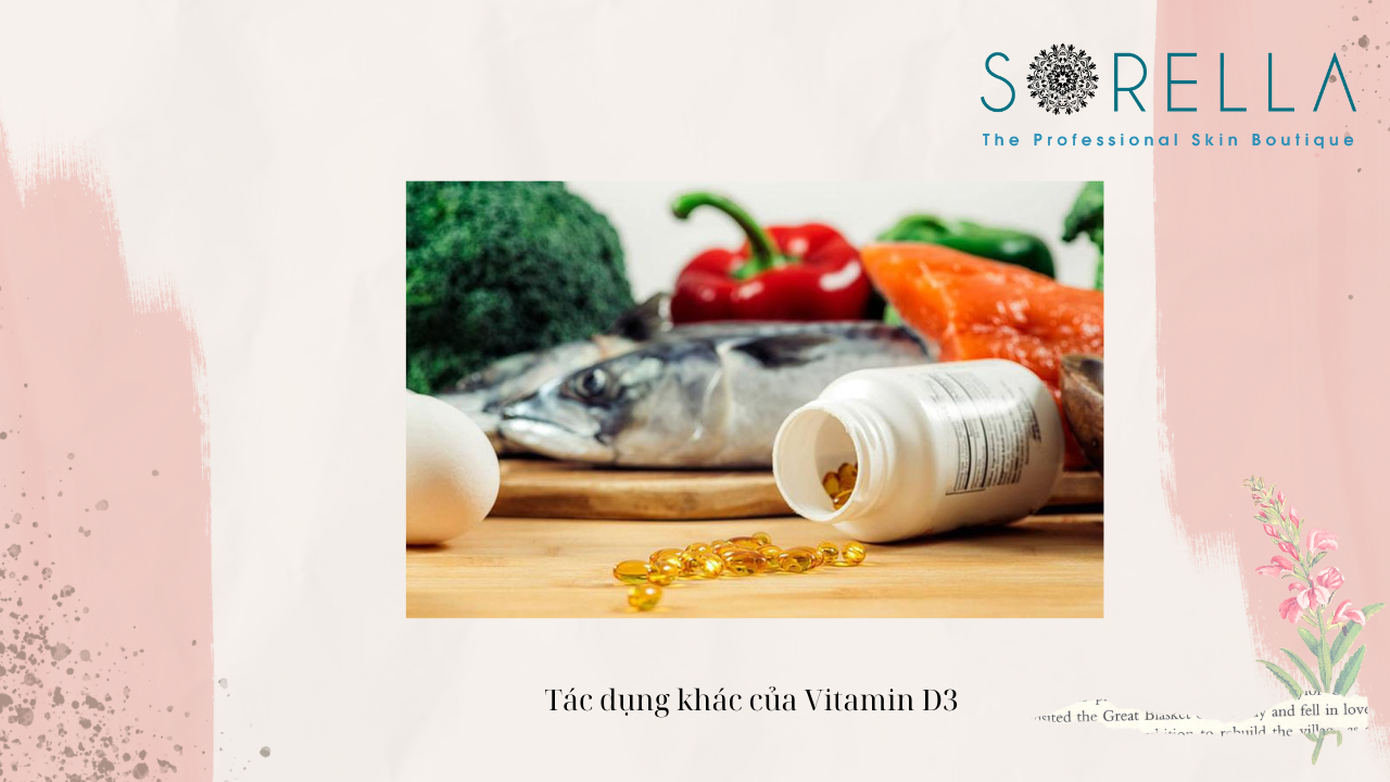 Vitamin D3 có tác dụng gì? 