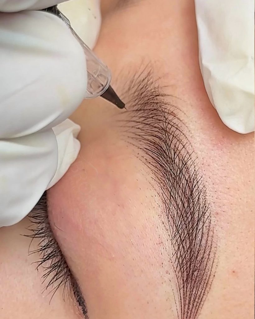 Microshading Eyebrows